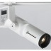 PL1 LED Luminaire