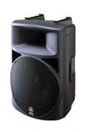 MS300