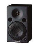 NS1000