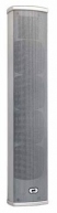 CLA6