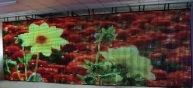 Soft-LED Video Drapery