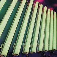 LED Neon Single Color Steady Type