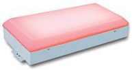 LED Panel 60x30cm