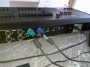 LP-X48