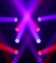WildBeam